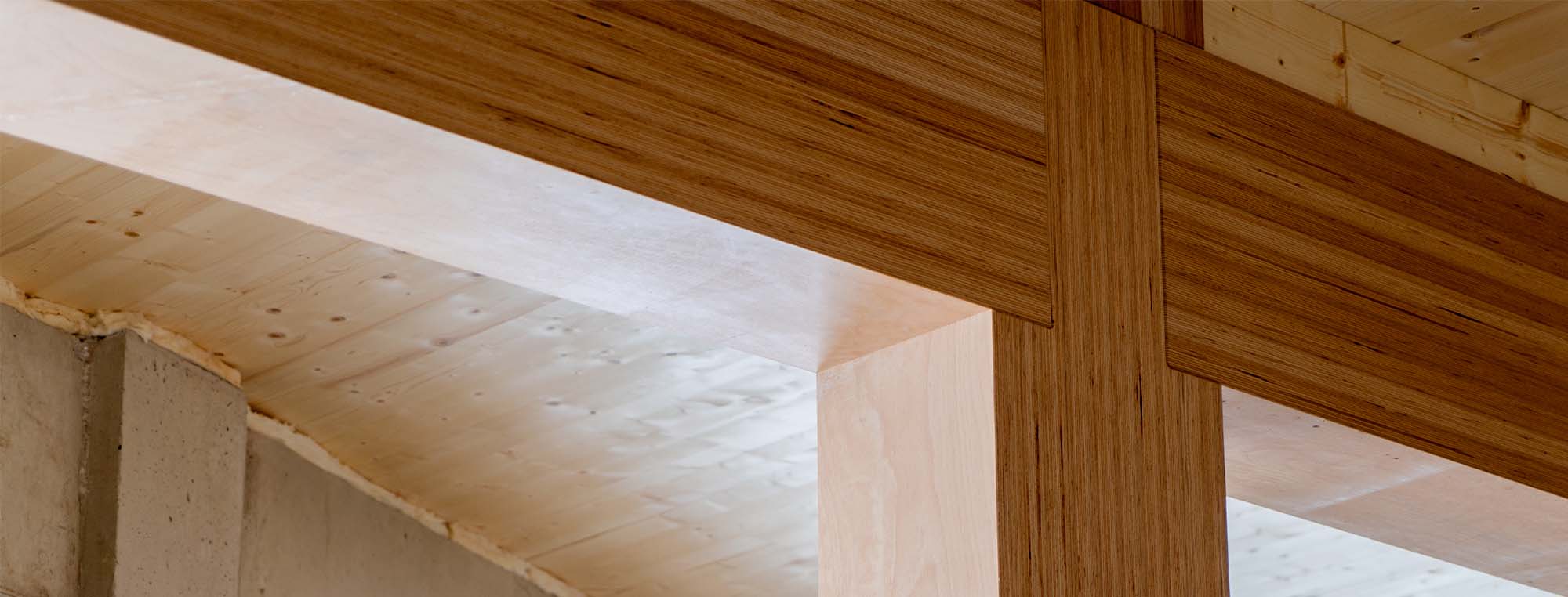 Holz-Hybrid-Bauweise