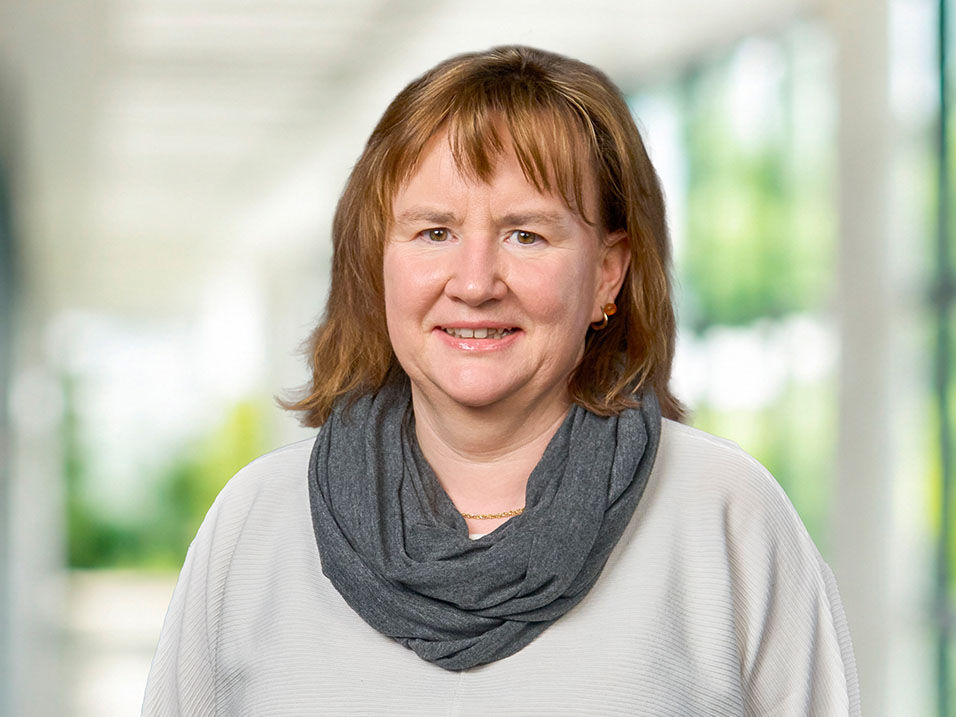 Katrin Schaffrath Katrin Schaffrath Bauunternehmen bendl HTS